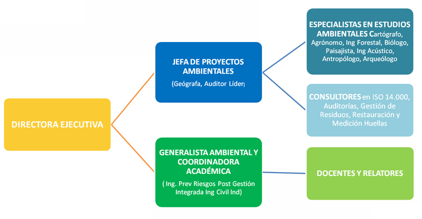 organigrama